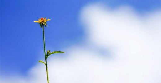 Thrive. Don't Just Survive! Thrive!